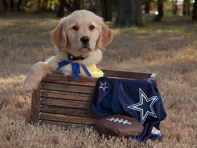 puppy cowboys jersey