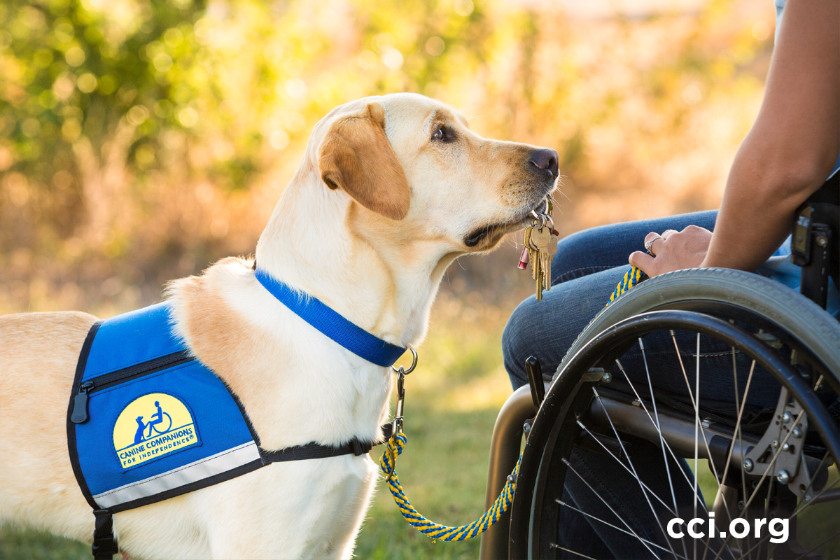 Share Your Support of Canine Companions