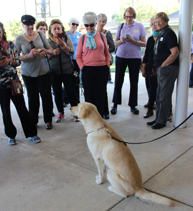 Tours of Canine Companions for Independence