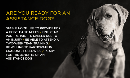Veterans Initiative | Canine Companions